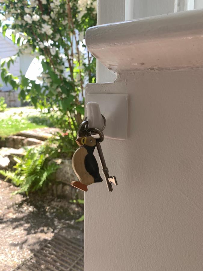 Puffin. Comfortable Annexe Central Falmouth Ngoại thất bức ảnh